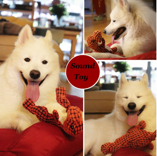 Pet Chewing Sound Toy