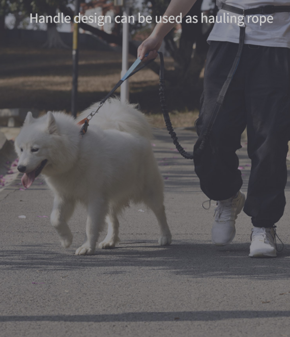 Adjustable Running Dog Leash