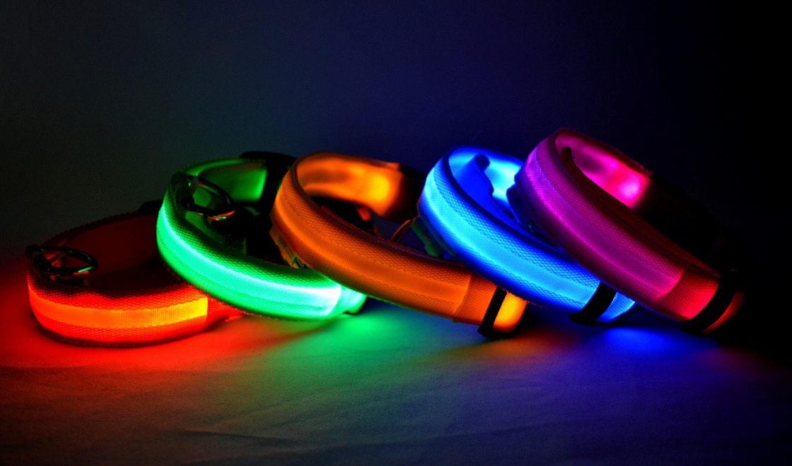LED USB Collar