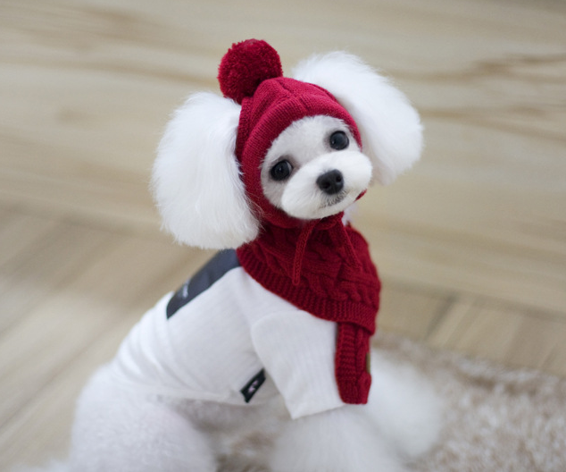 Luxury Knitted Pet Beanie