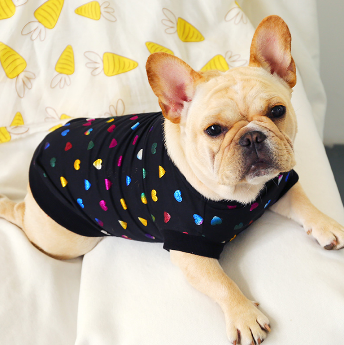 Dog Streetwear Sweatshirt