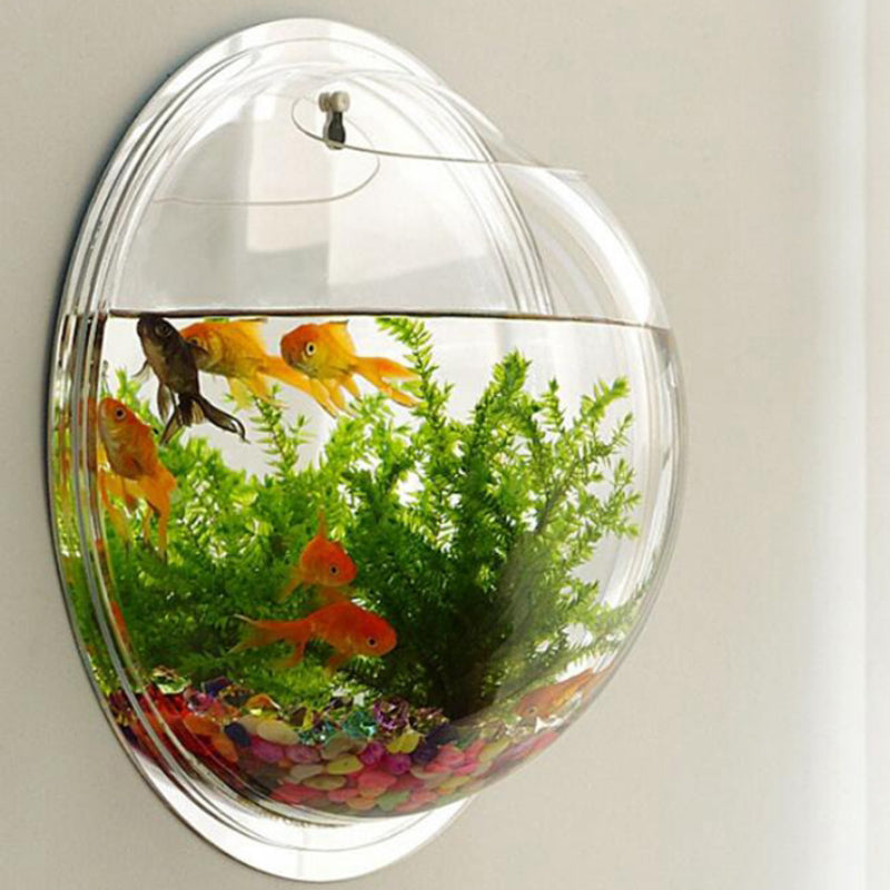 Wall Mounted Orb Aquarium