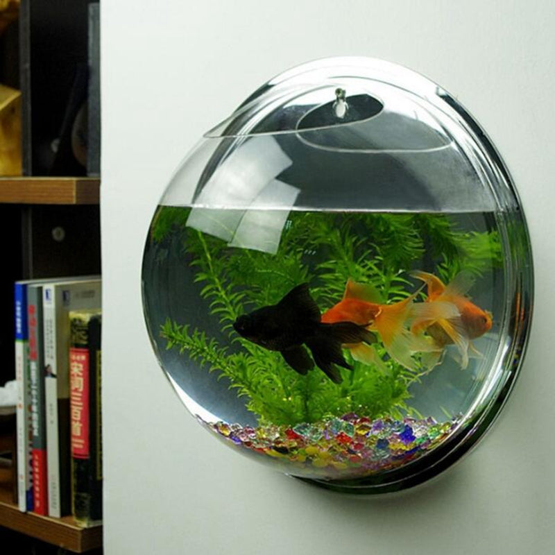 Wall Mounted Orb Aquarium