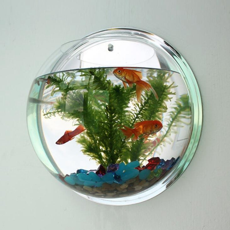Wall Mounted Orb Aquarium