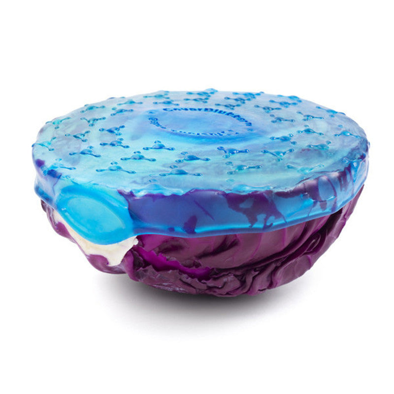Silicone Container & Food Covers