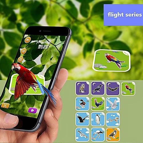 4D Educational Playing Cards