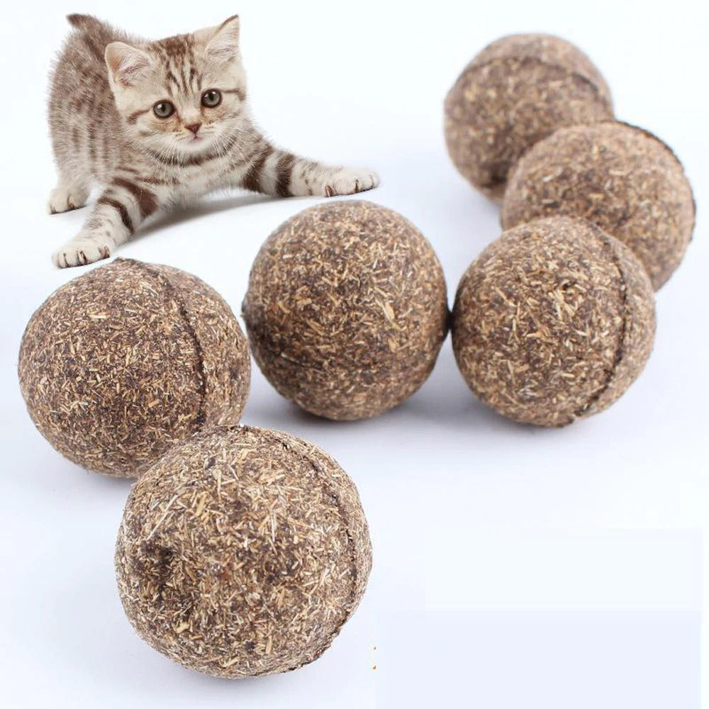 Catnip Play Balls