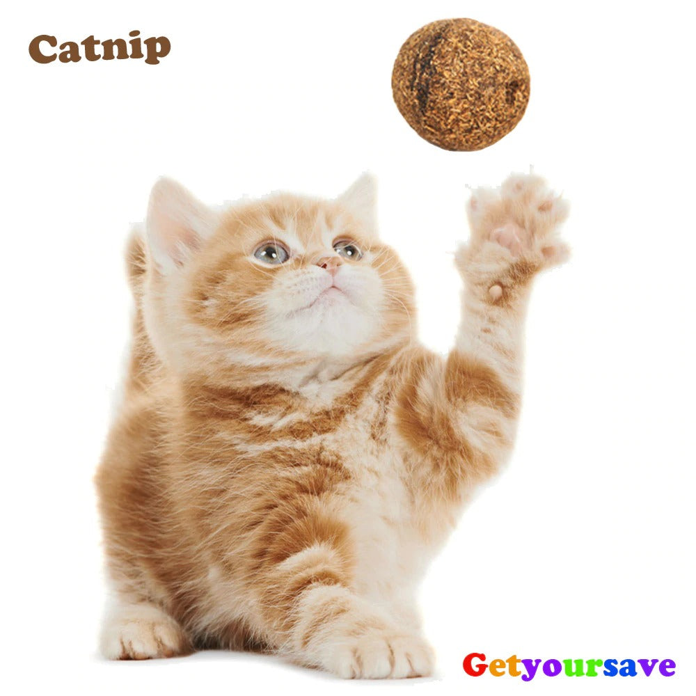 Catnip Play Balls