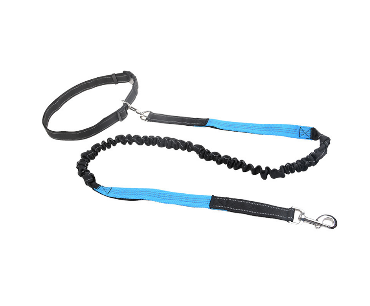 Adjustable Running Dog Leash
