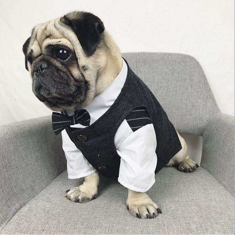 Boutique Pet Suit Vest