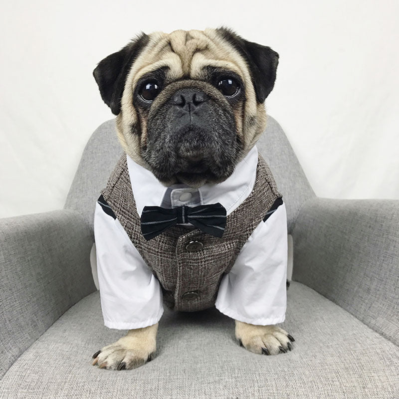 Boutique Pet Suit Vest