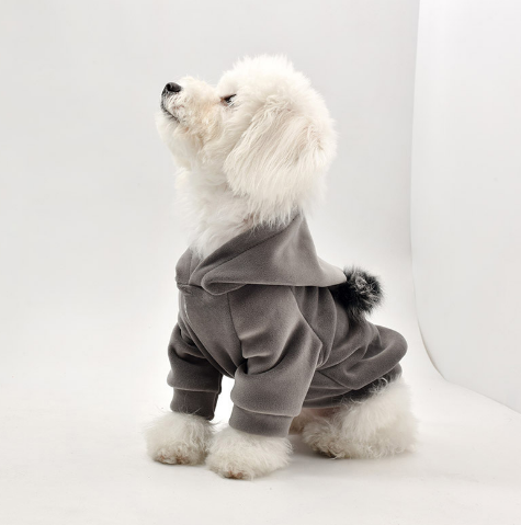 Dog Winter Fashion Hoodie