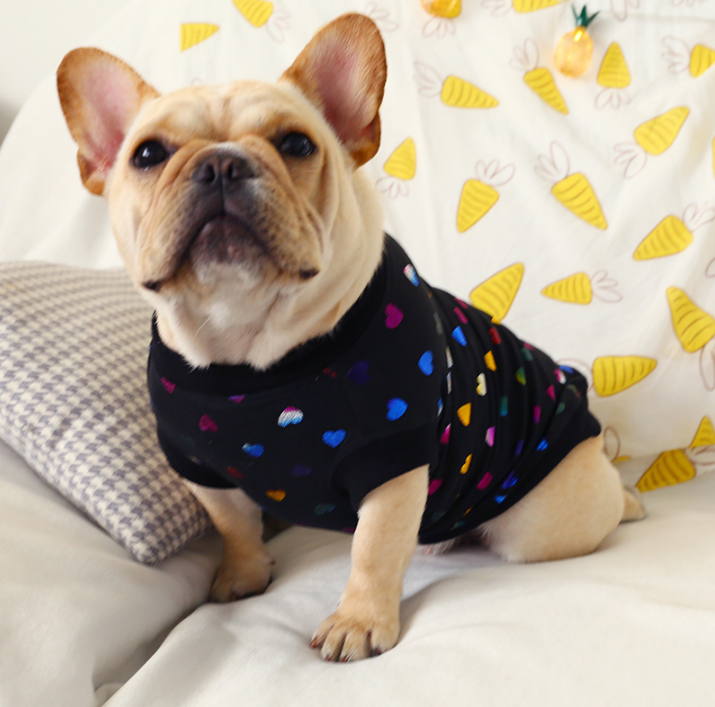 Dog Streetwear Sweatshirt