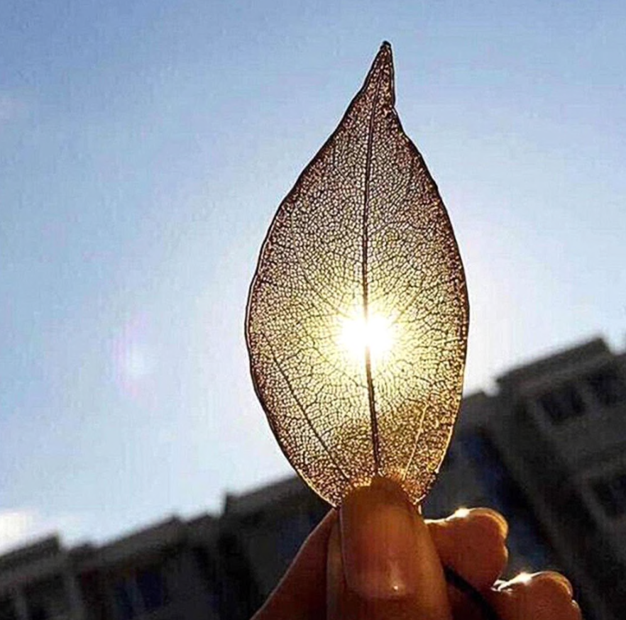 Minimal Leaf Necklace
