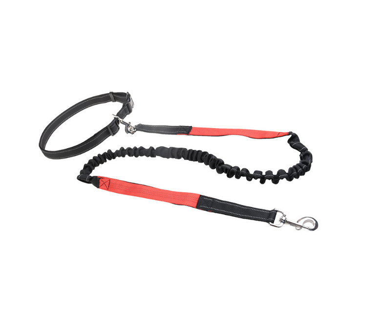 Adjustable Running Dog Leash