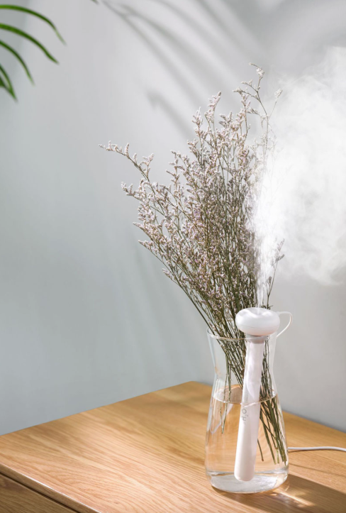 Portable Air Humidifier
