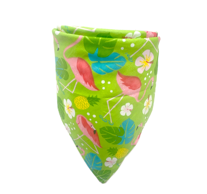 Colorful Dog Bandana