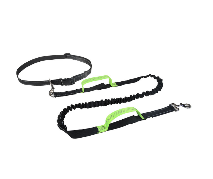 Adjustable Running Dog Leash