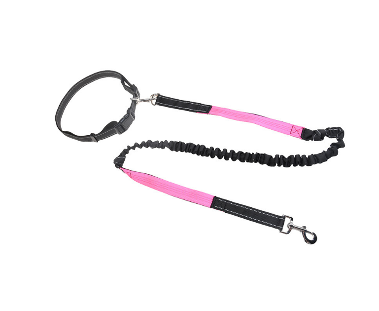 Adjustable Running Dog Leash