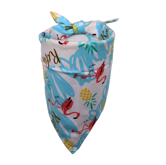 Colorful Dog Bandana
