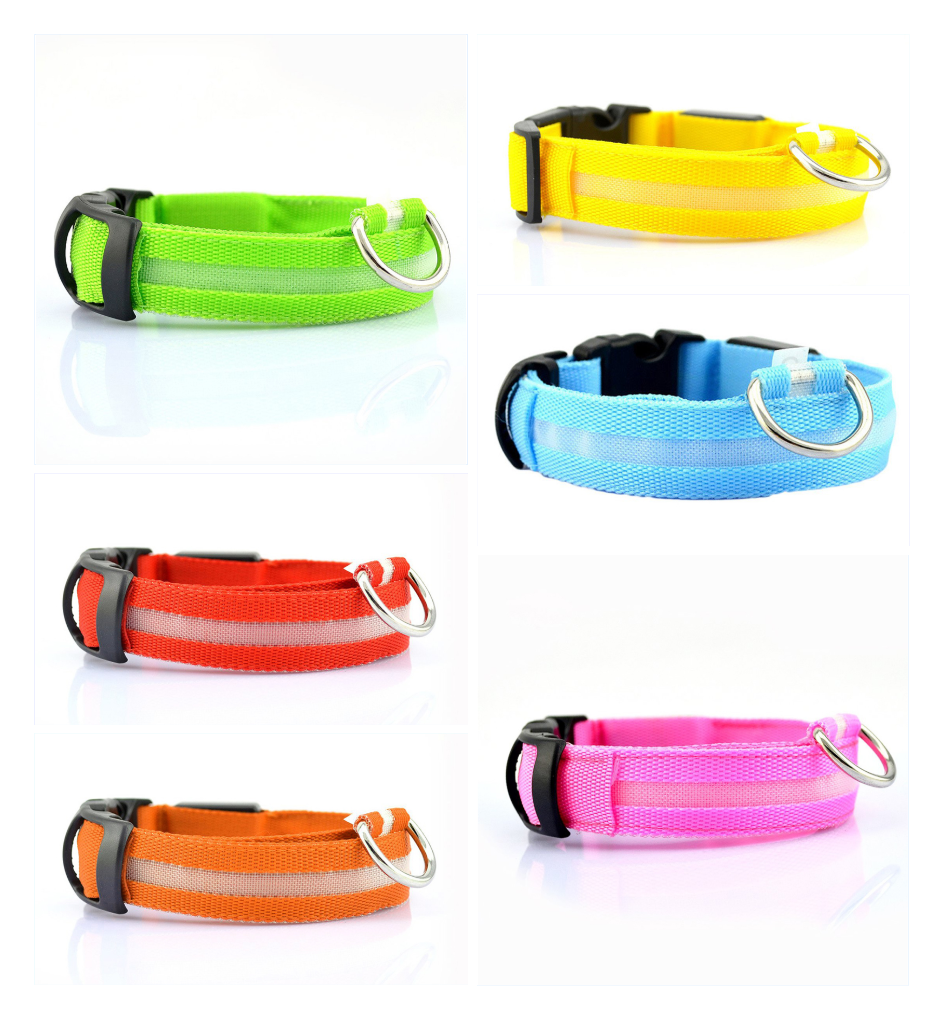 LED USB Collar