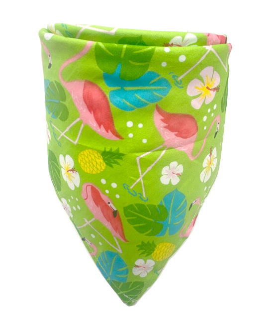 Colorful Dog Bandana