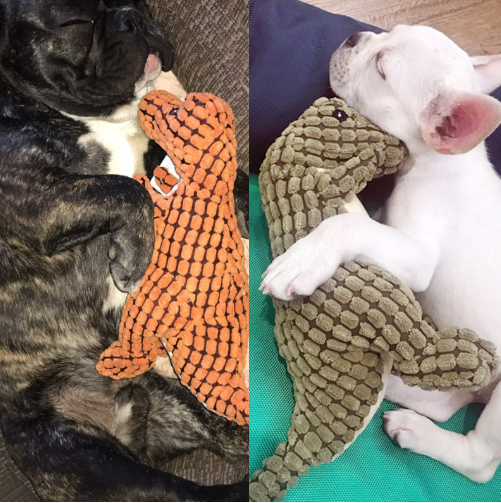 Pet Chewing Sound Toy