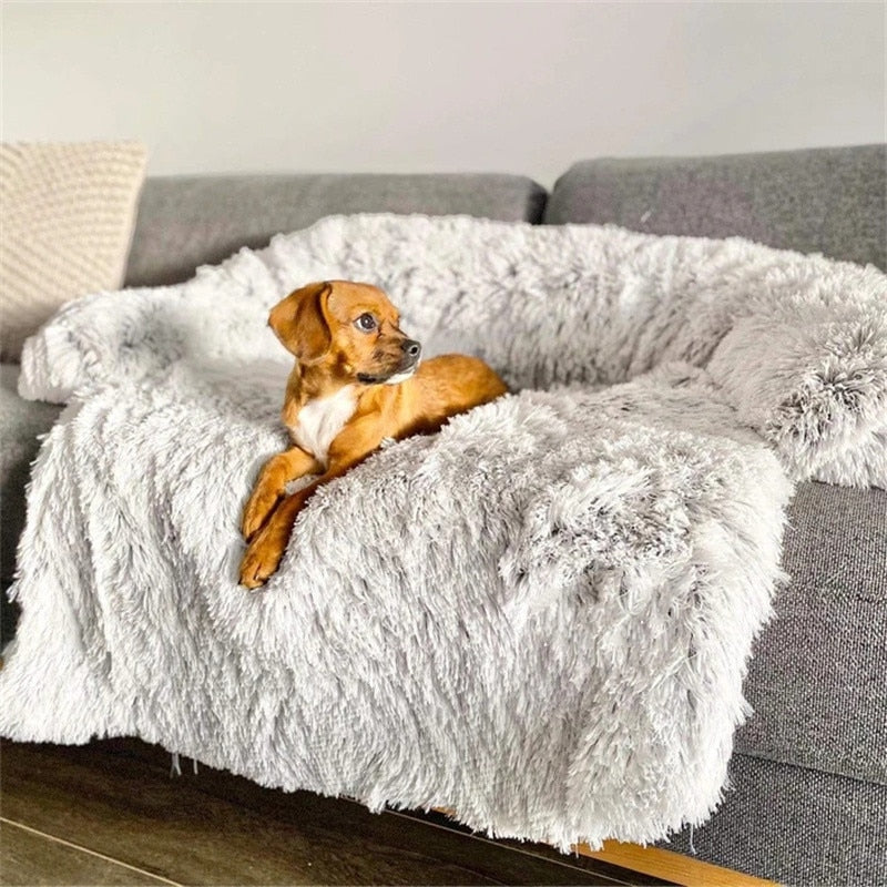 Large Dog Blanket Sofa