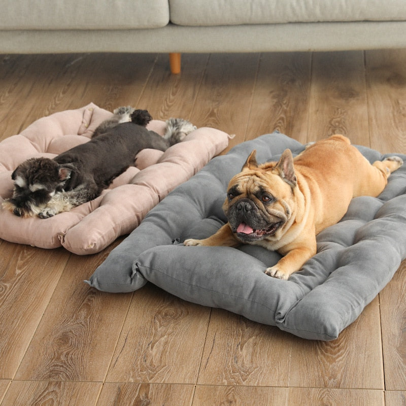 Large Dog Bed