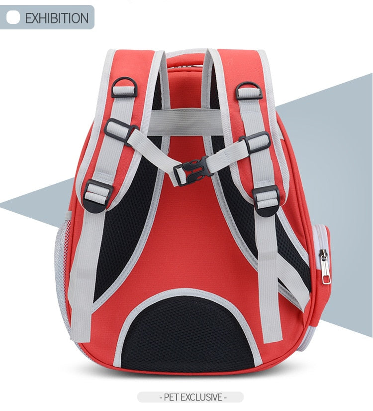 Transparent Pet Carrier
