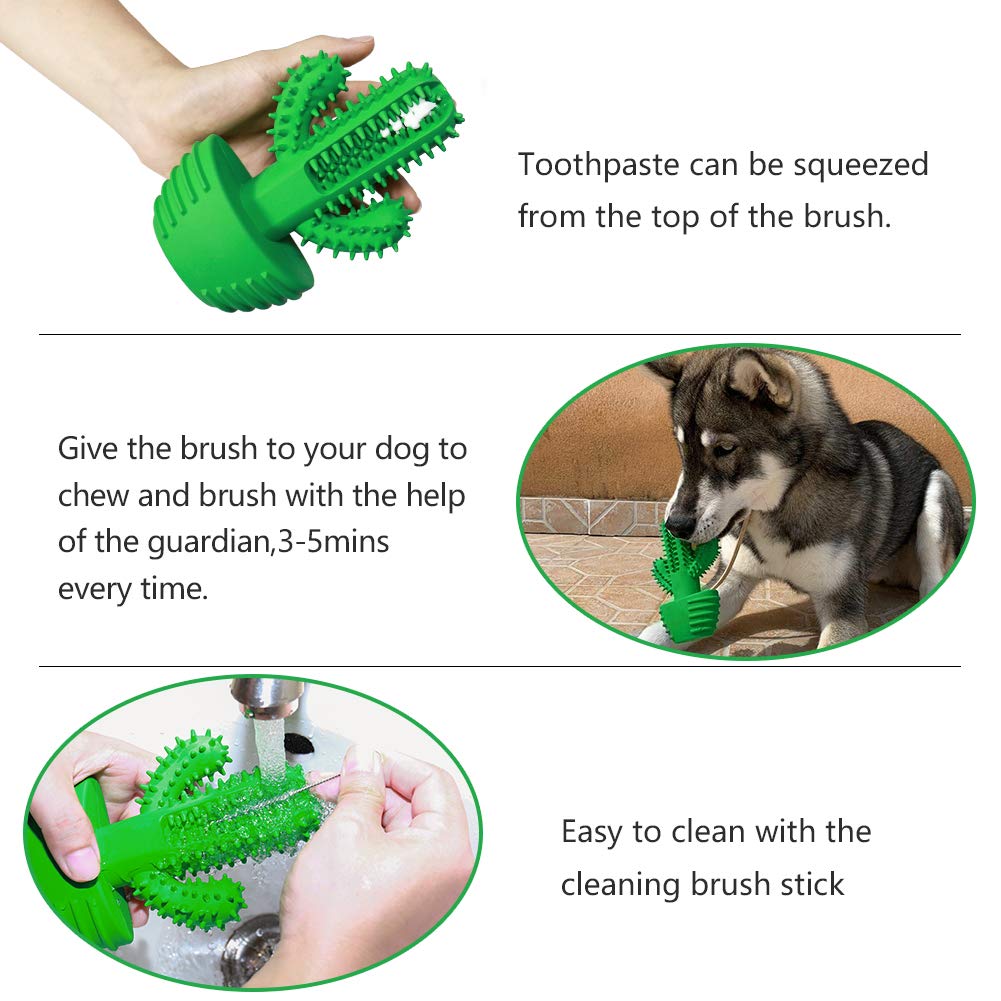 Cactus Shape Dog Rubber