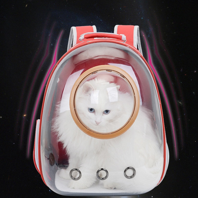 Transparent Pet Carrier