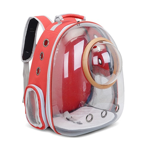 Transparent Pet Carrier