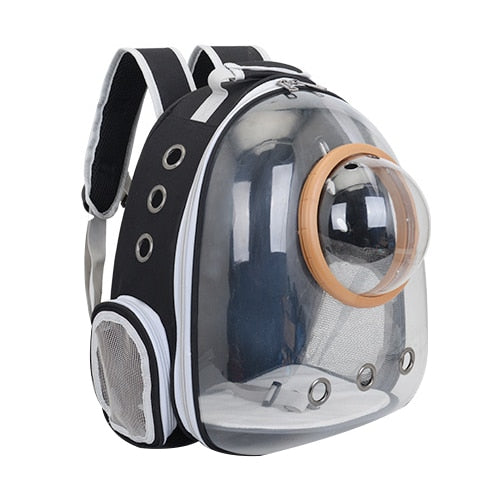 Transparent Pet Carrier