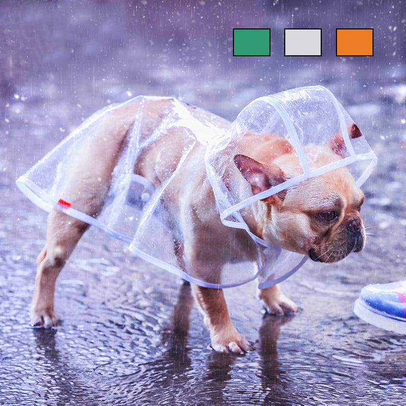 Pet Raincoat With Hat