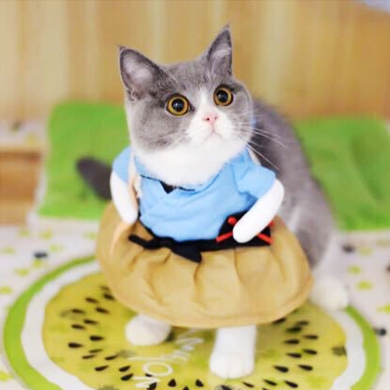 Funny Cat Party Suit