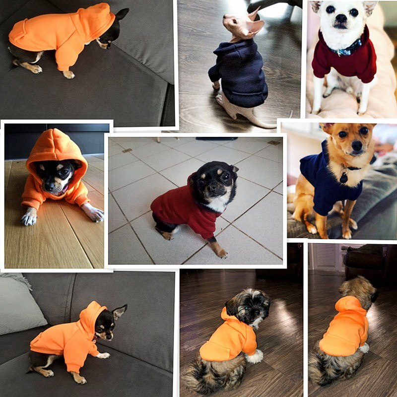 Warming Dog Hoodies