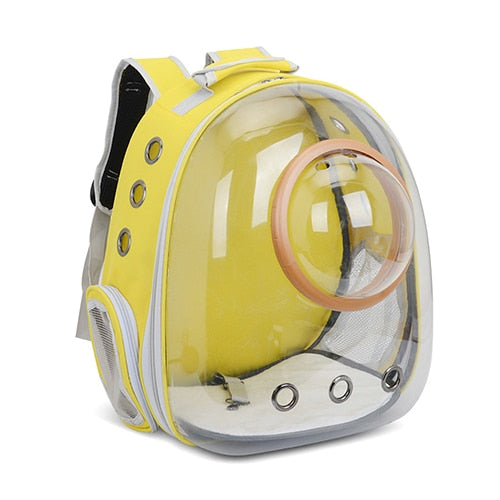 Transparent Pet Carrier