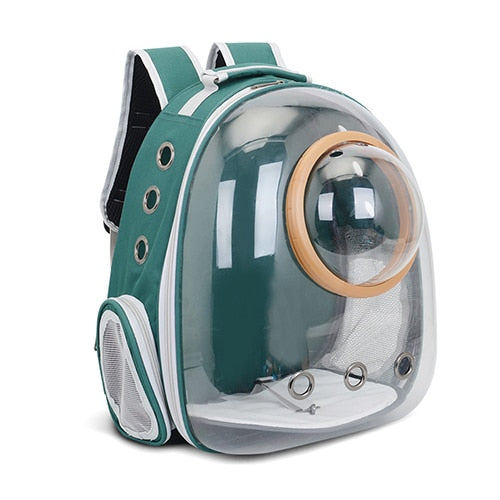 Transparent Pet Carrier