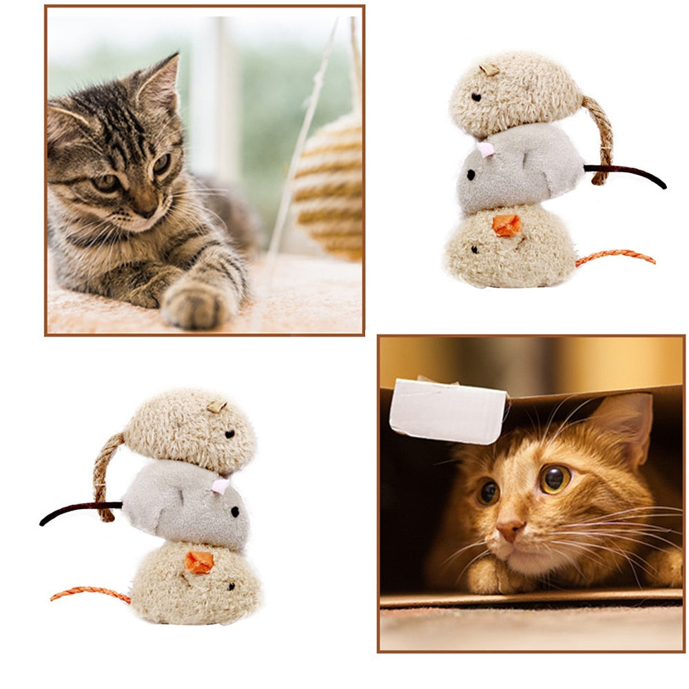 3Pcs Pet Cat Bite-resistant Toy