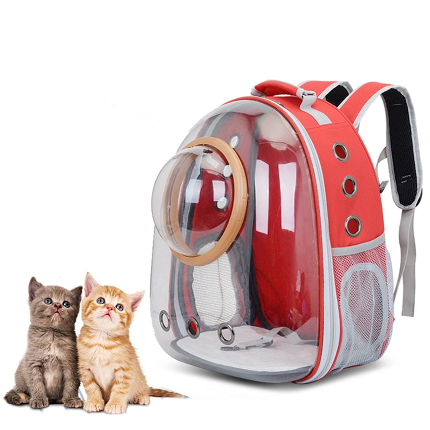 Transparent Pet Carrier