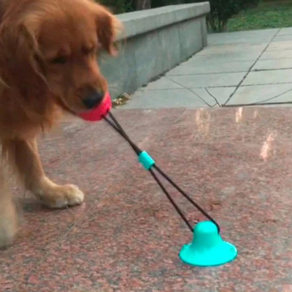 Interactive Multi-Functional Dog Toy