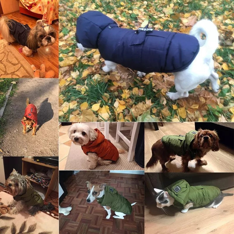 Dogs Padded Winter Warming Coat
