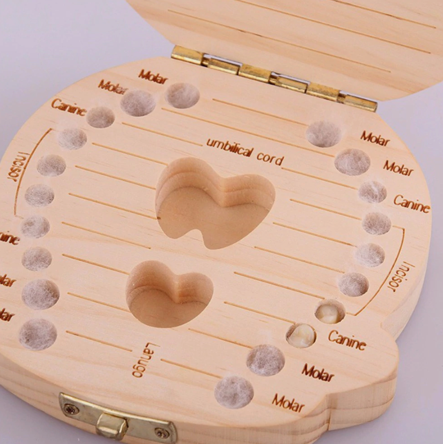 Baby Tooth Box
