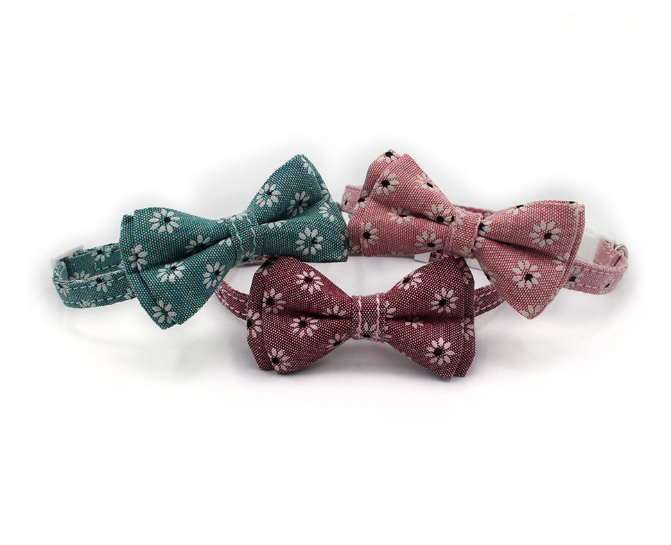 Pet Collar
