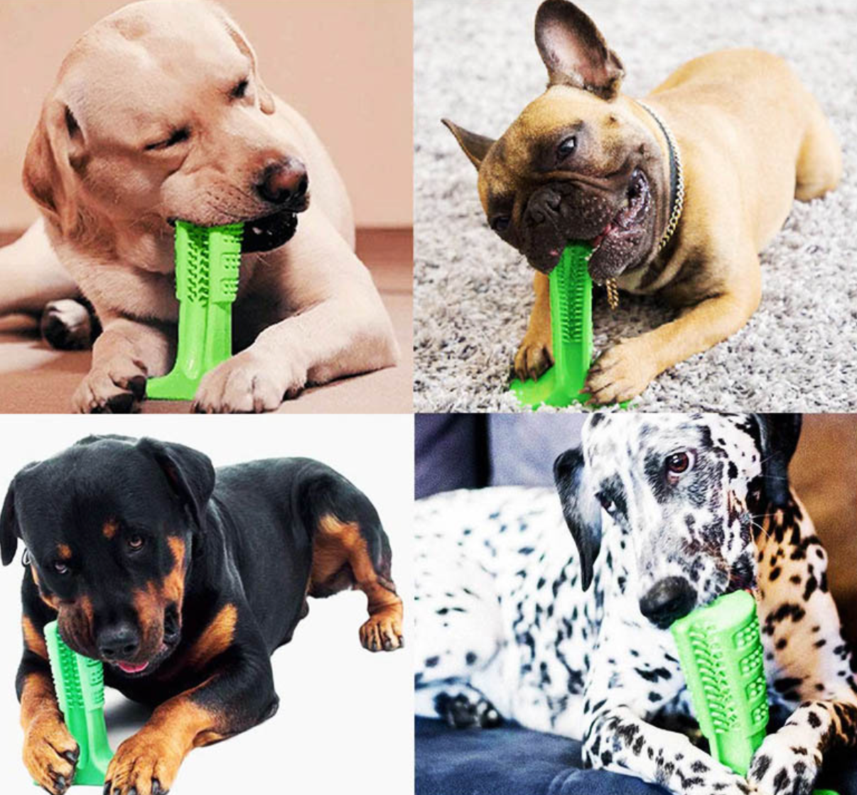 Dog Toothbrush