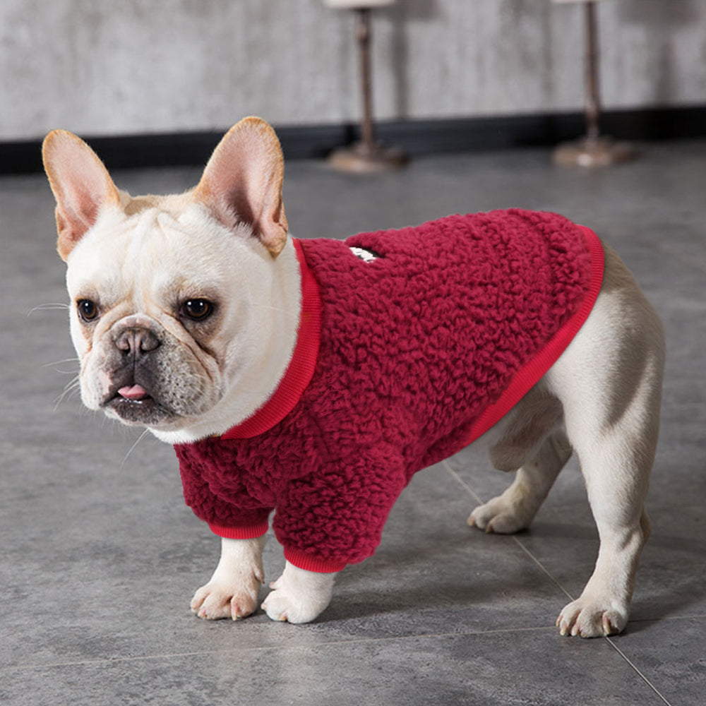 Pet Winter Two-Legged Sweater