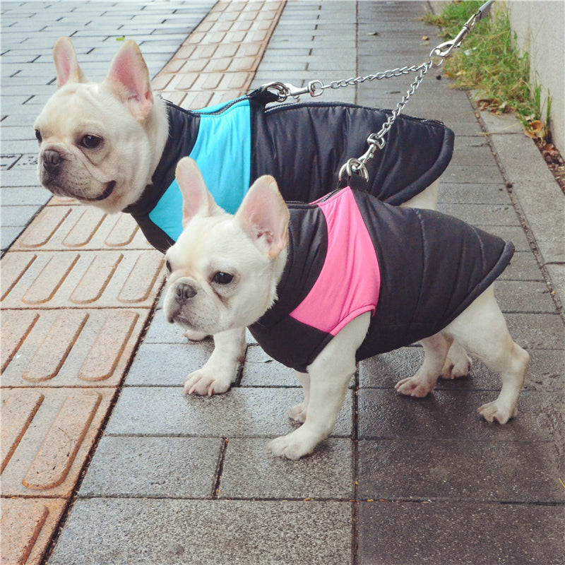 Winter Windproof Warm Dog Vest