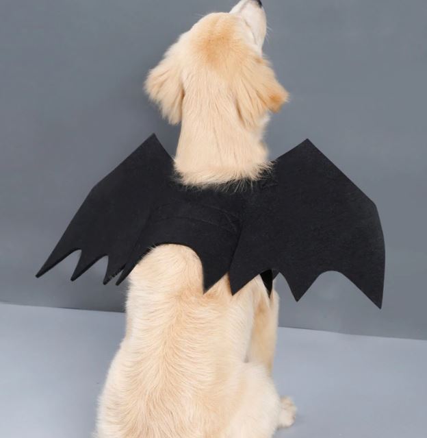 Pet Halloween Bat Wings