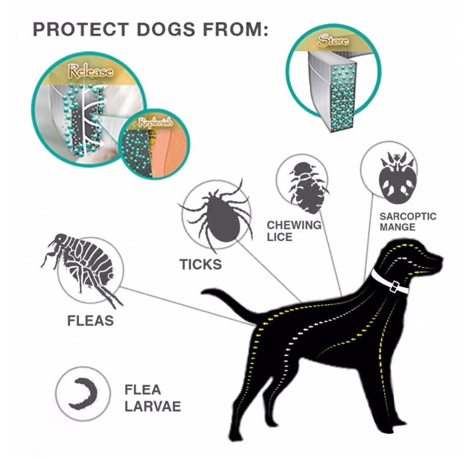 Pet Anti-Flea Collar